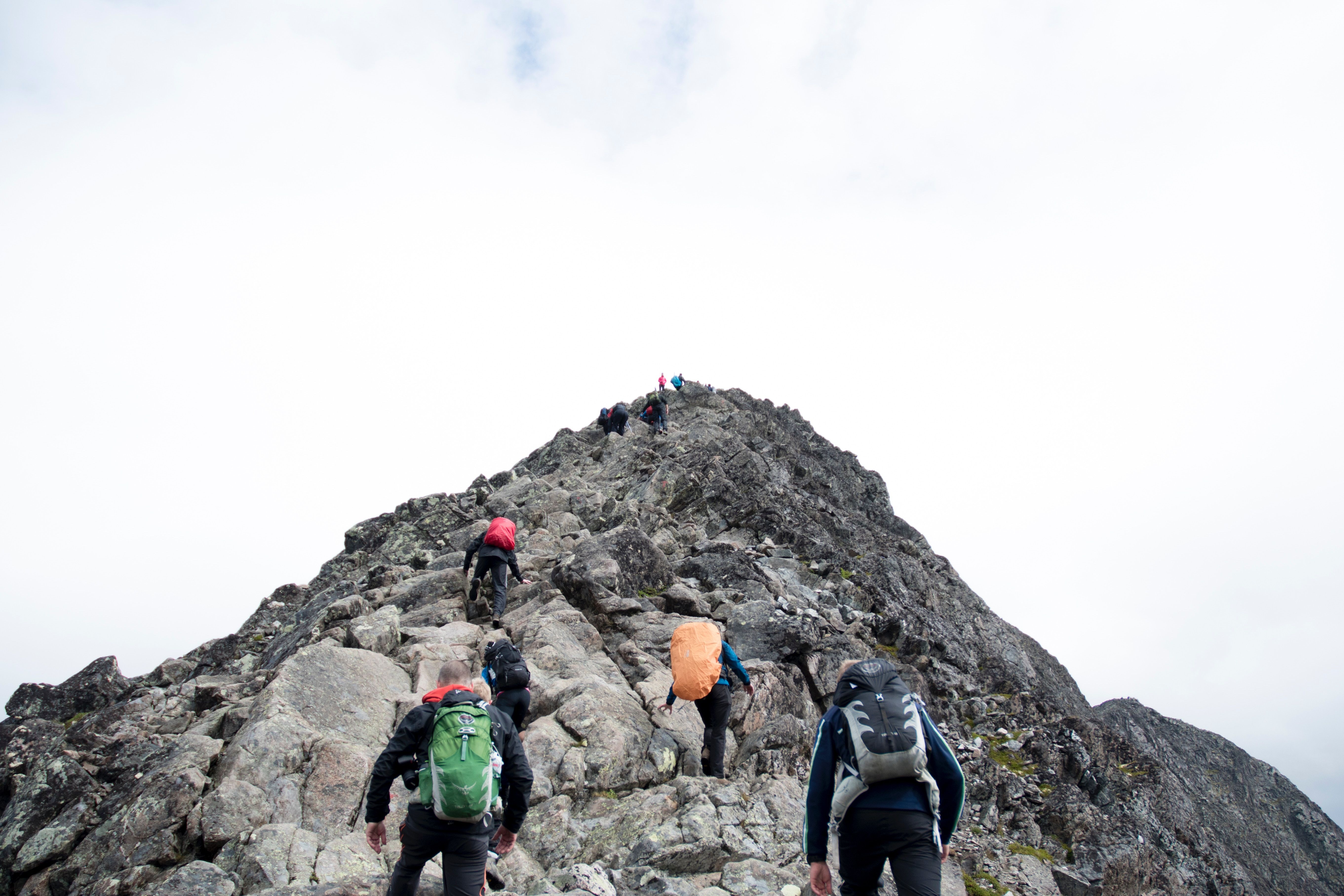 Hikers climbing up a mountain